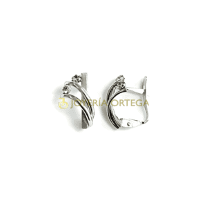 Pendientes de plata con diseño elegante