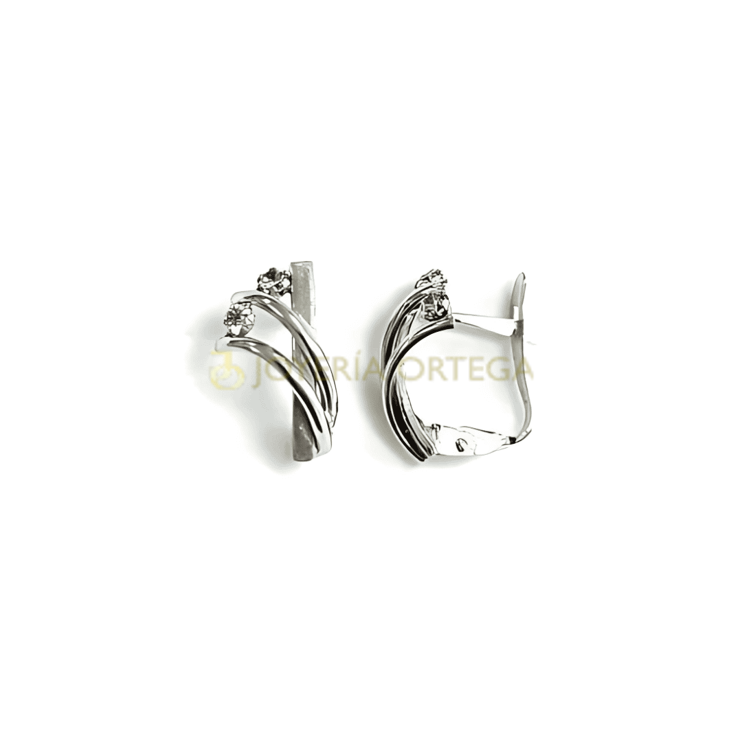 Pendientes de plata con diseño elegante
